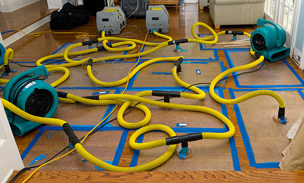 Professional Basement Flood Cleanup technician working in Phil Campbell, AL